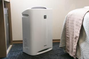 Two Adjacent Single Rooms - Non-Smoking,1222553899:JPEG