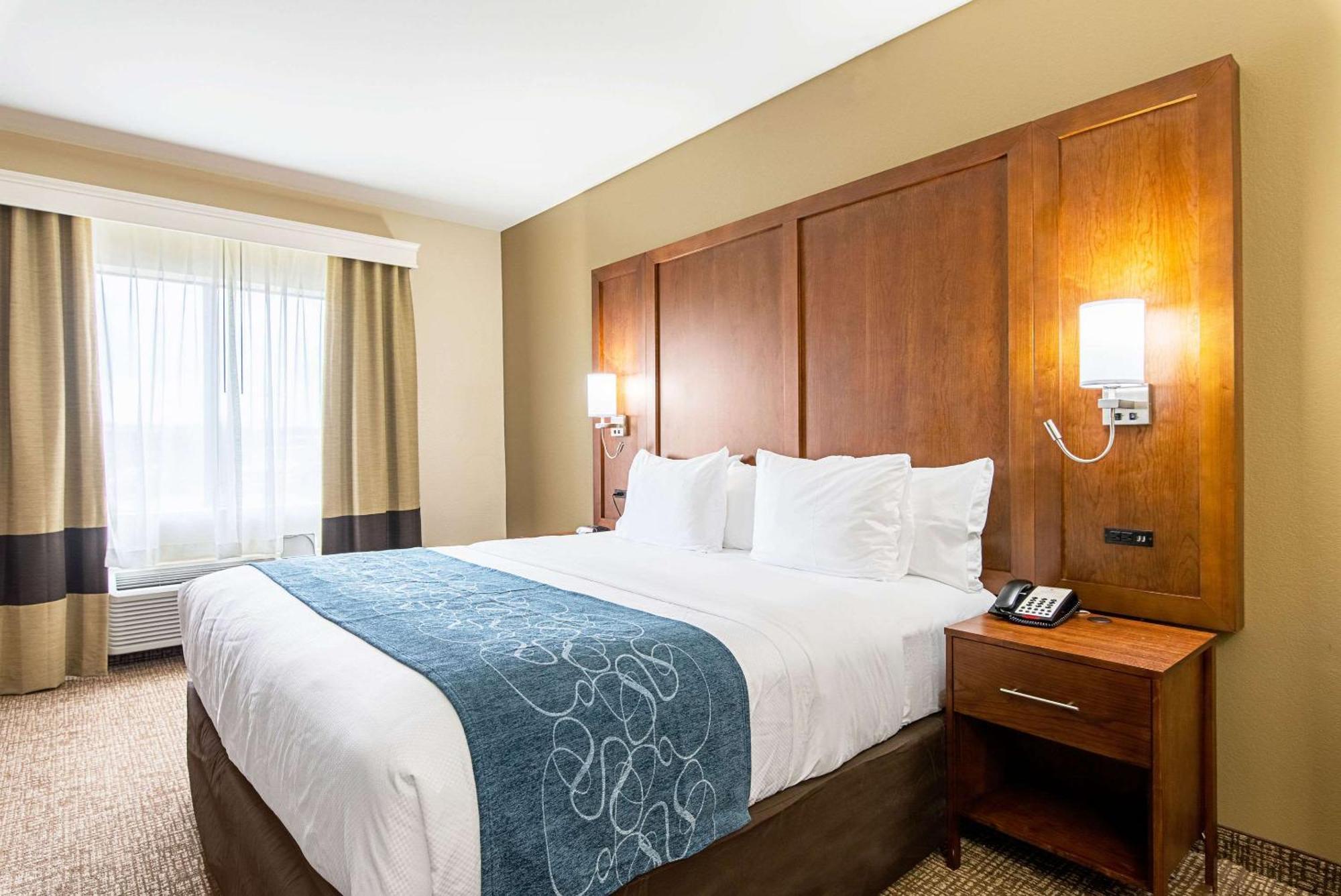 King Suite with Sofa Bed - Non-Smoking