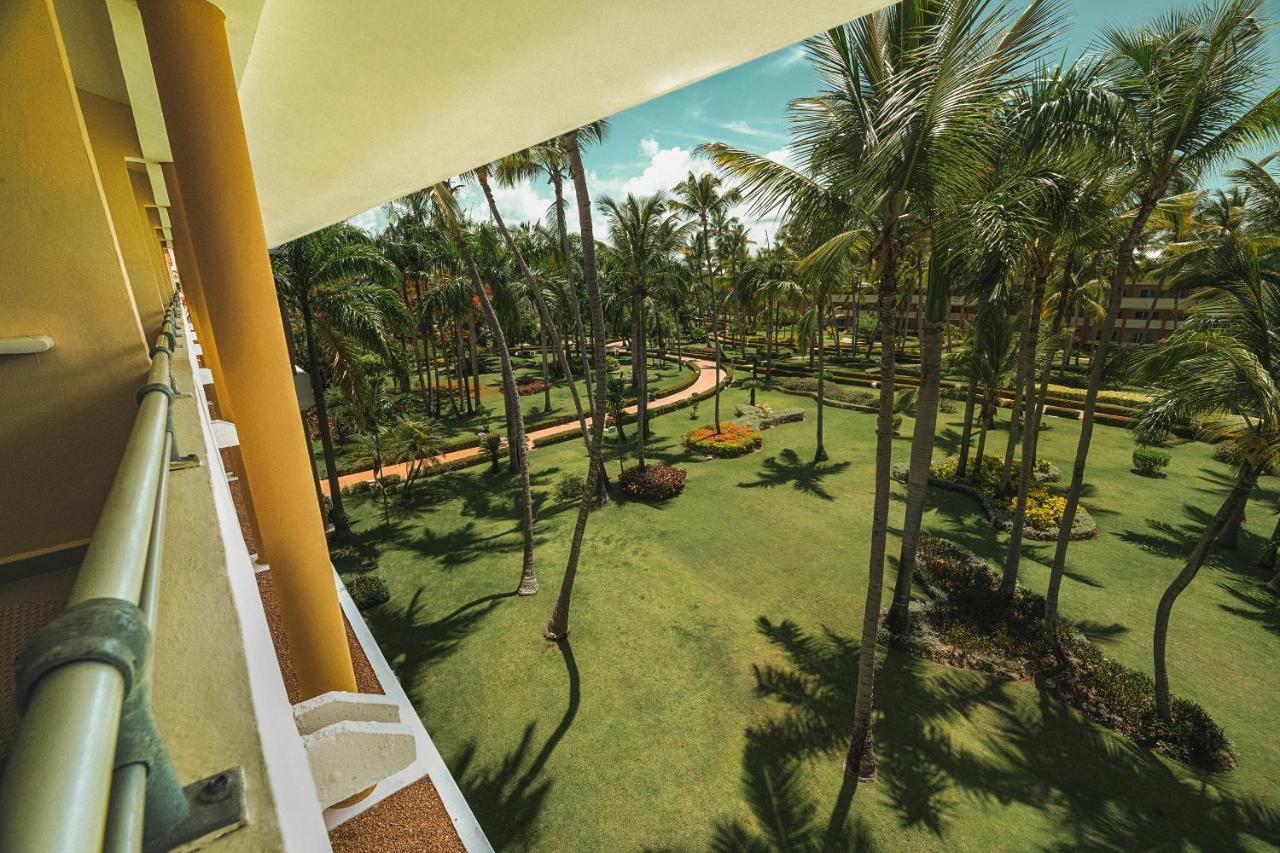 Premium Tropical View