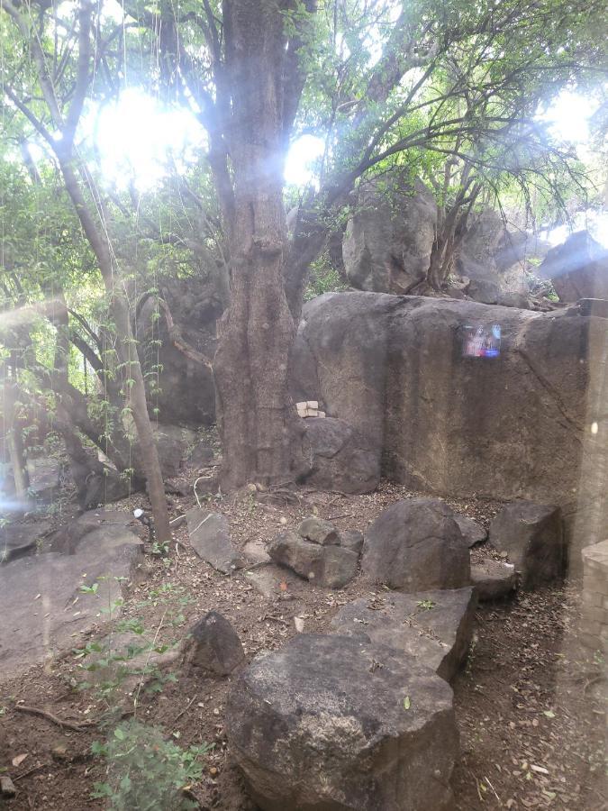 Double Room with Private Bathroom,1340487587:JPEG