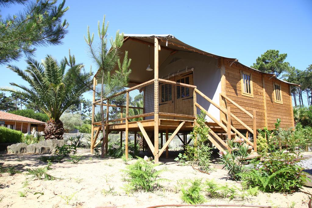 Two-Bedroom Chalet (4 Adults),339307099:JPEG