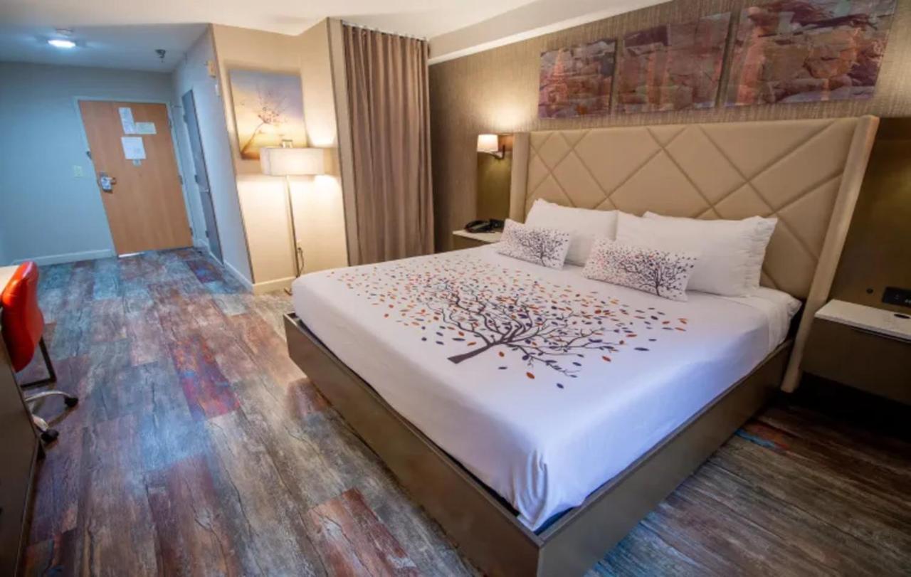 King Room with King Bed,1417991928:JPEG