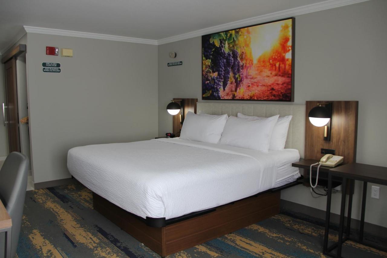 King Room with Roll-In Shower - Mobility Access/Non-Smoking
