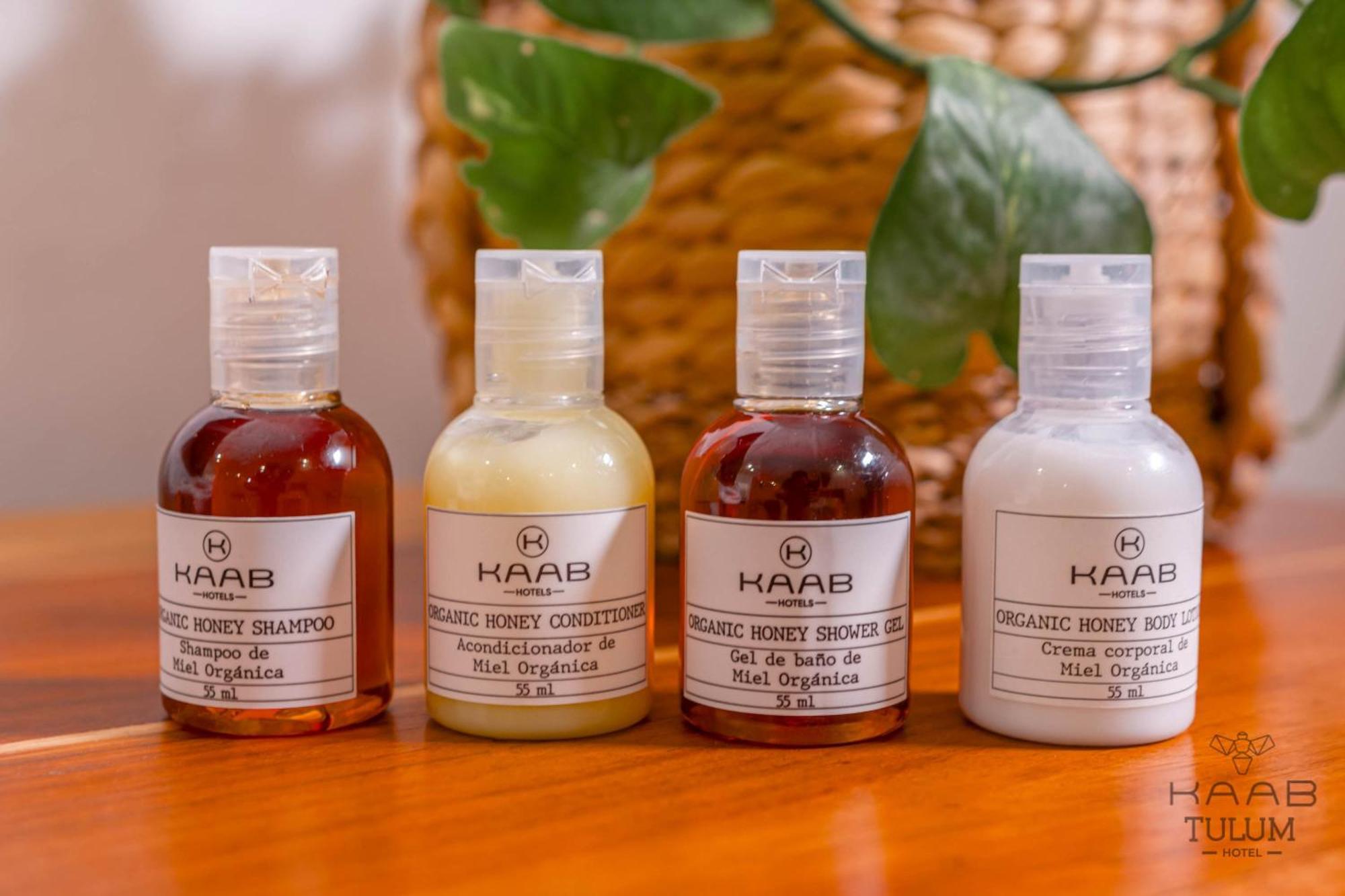 Suite with Terrace,1538730523:JPEG