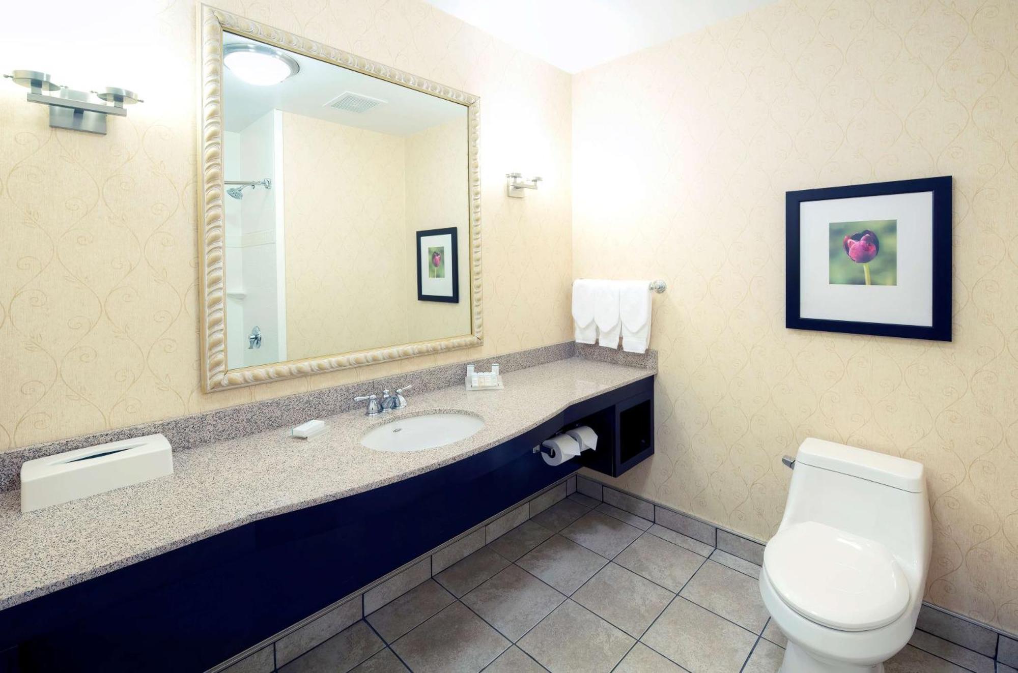 Standard King Room Bathtub,1443733504:JPEG