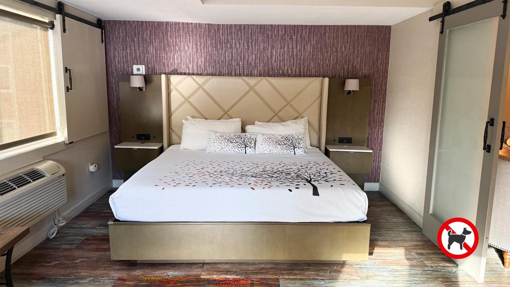 Deluxe King Suite,1646367851:JPEG