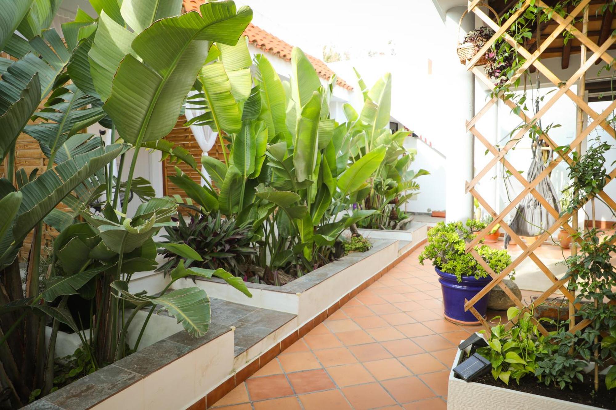 Double Room Terrace