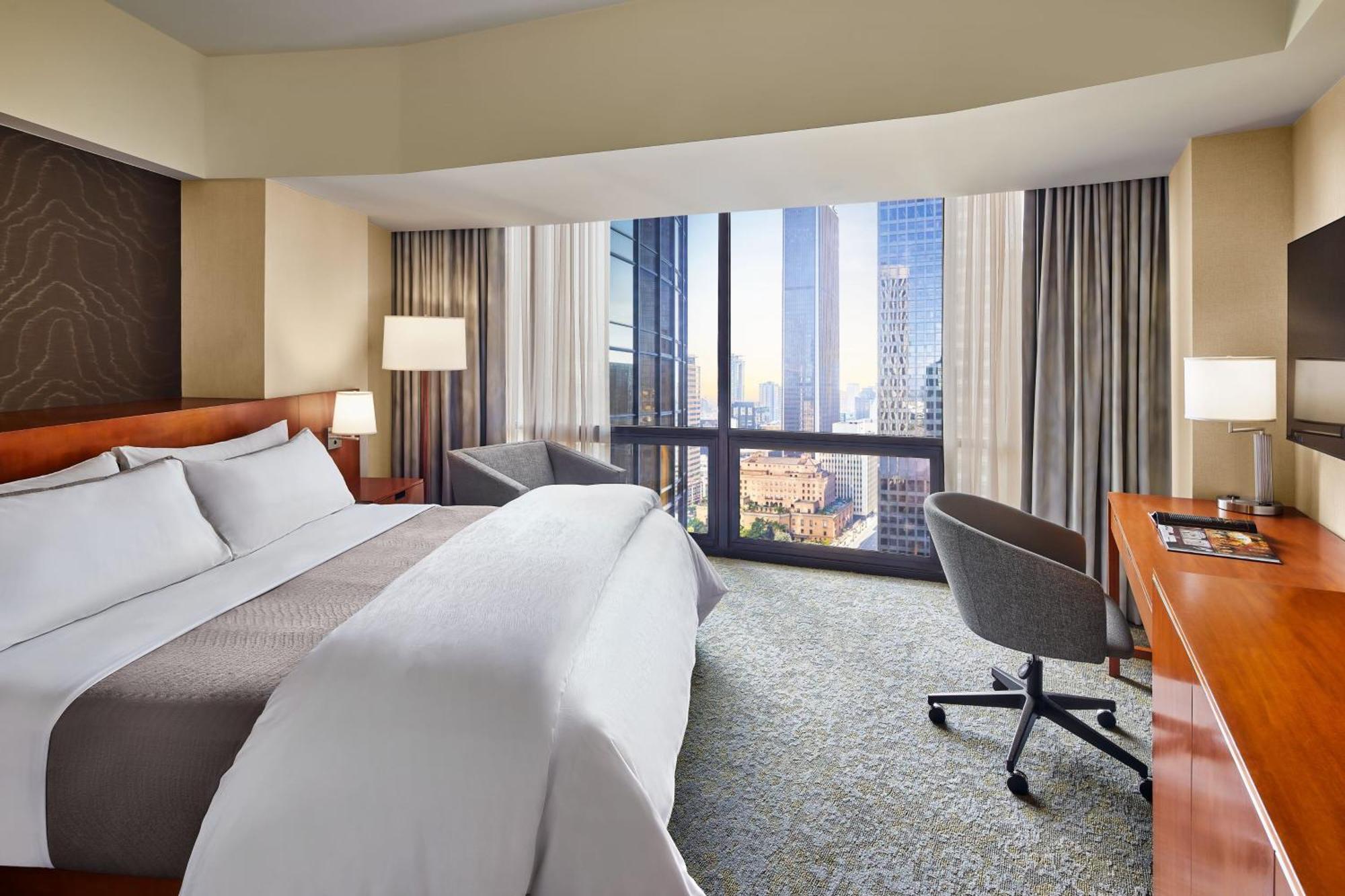 Guest room 1 King City view