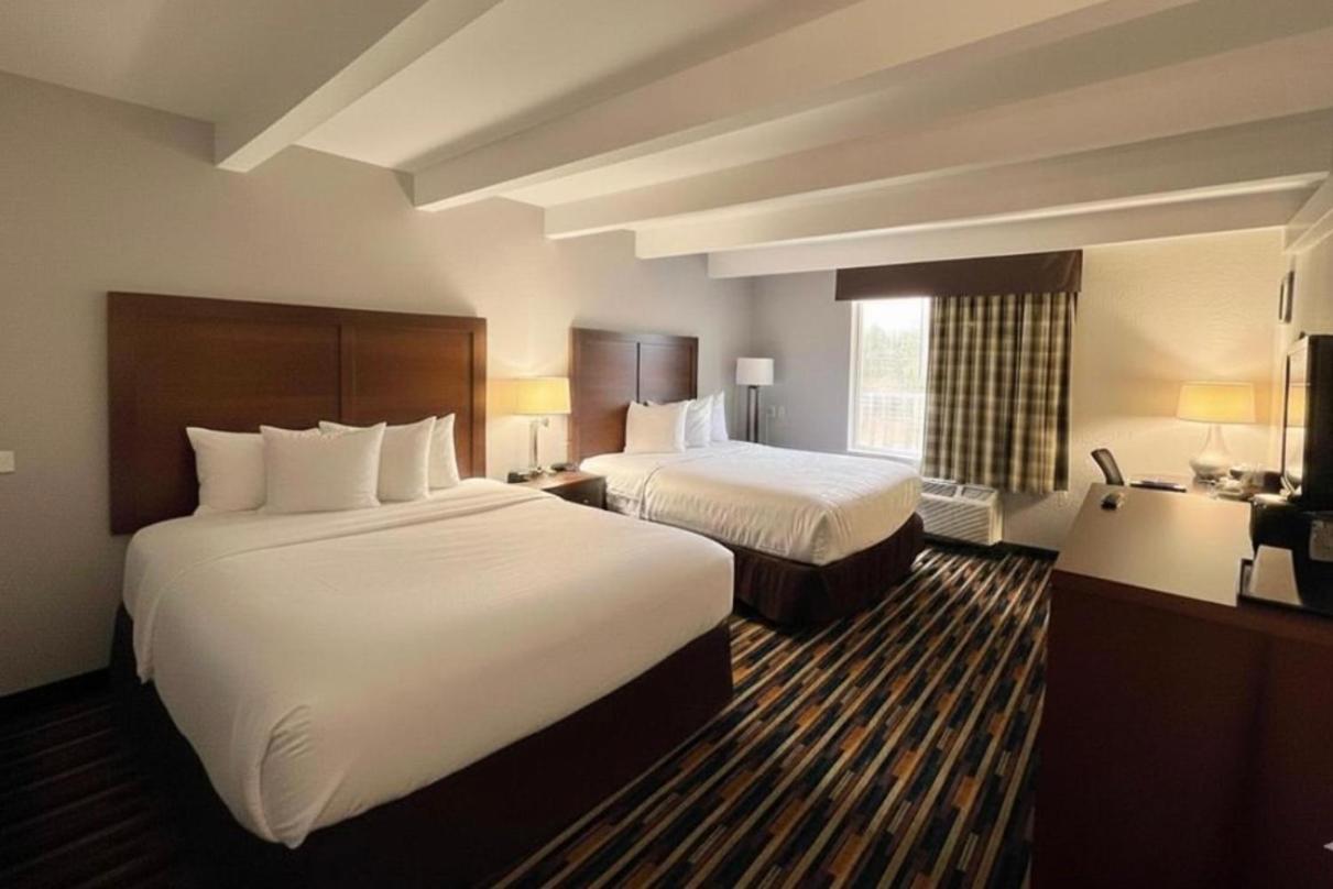Double Room with Two Double Beds and Roll-In Shower - Non-Smoking,1742814946:JPEG