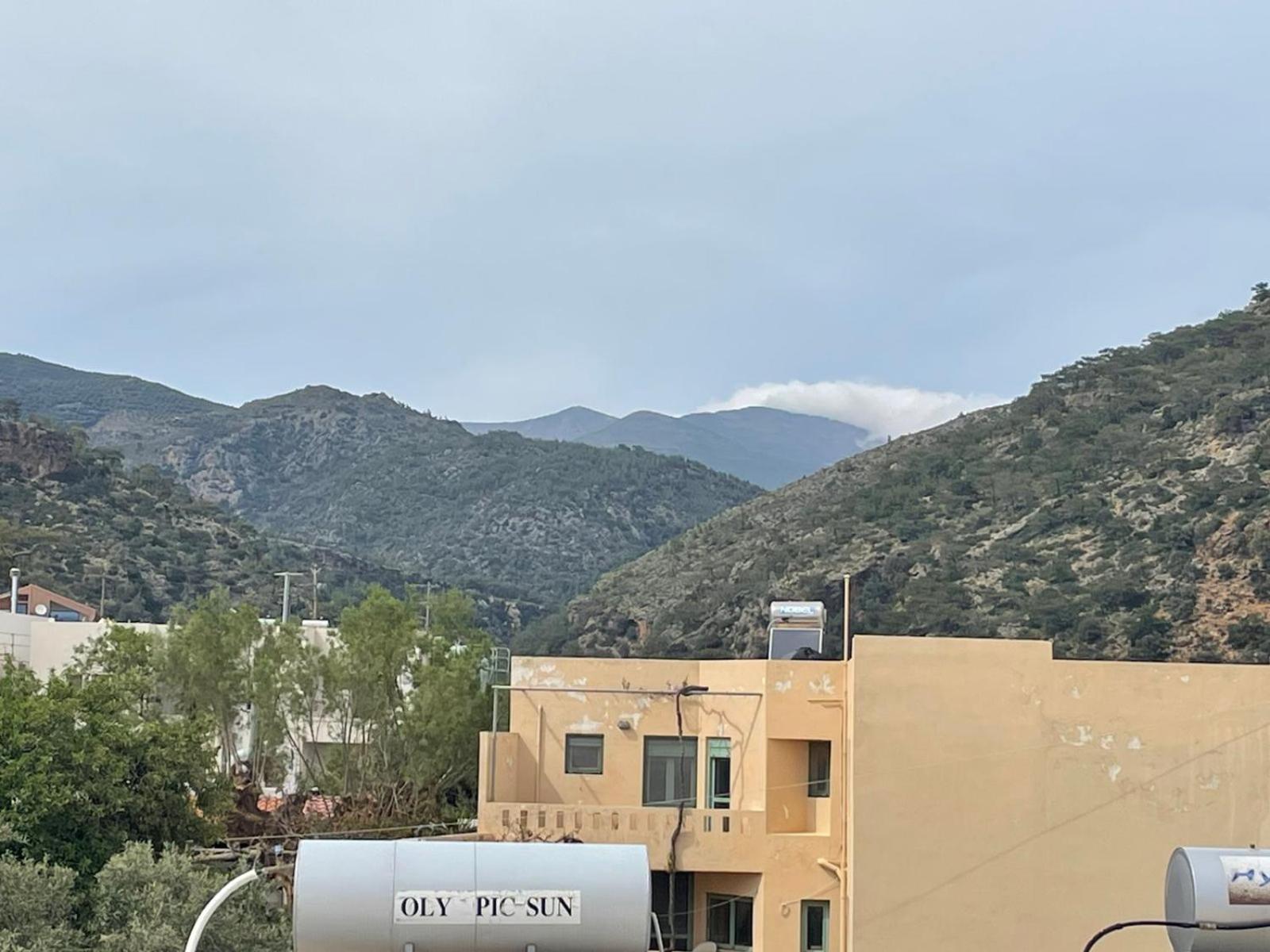 Studio Mountain View