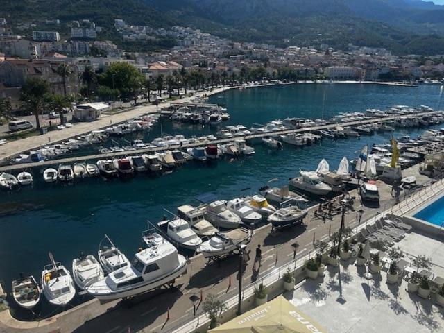 Studio Sea View