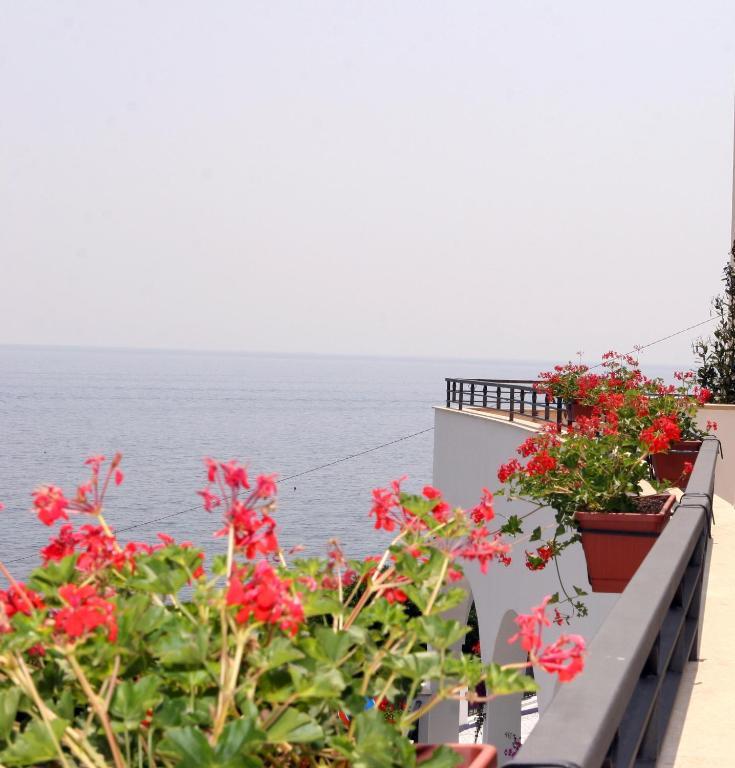 Superior Double or Twin Room with Balcony and Sea View,681407502:JPEG