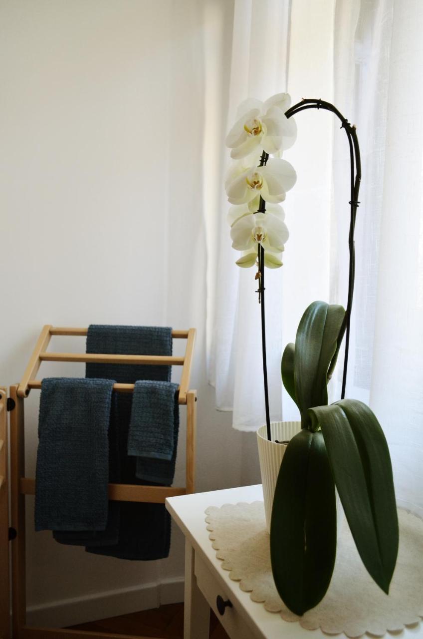 Single Room Bathroom