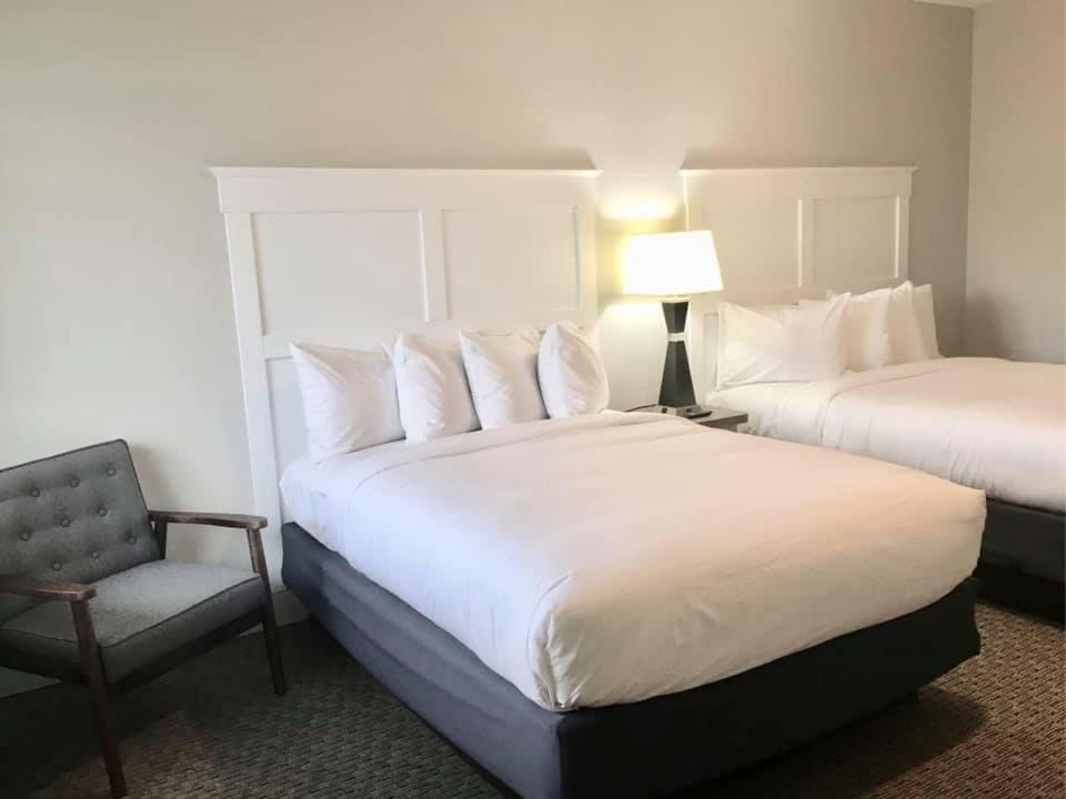Deluxe Queen Room Two Queen Beds,790839609:JPEG