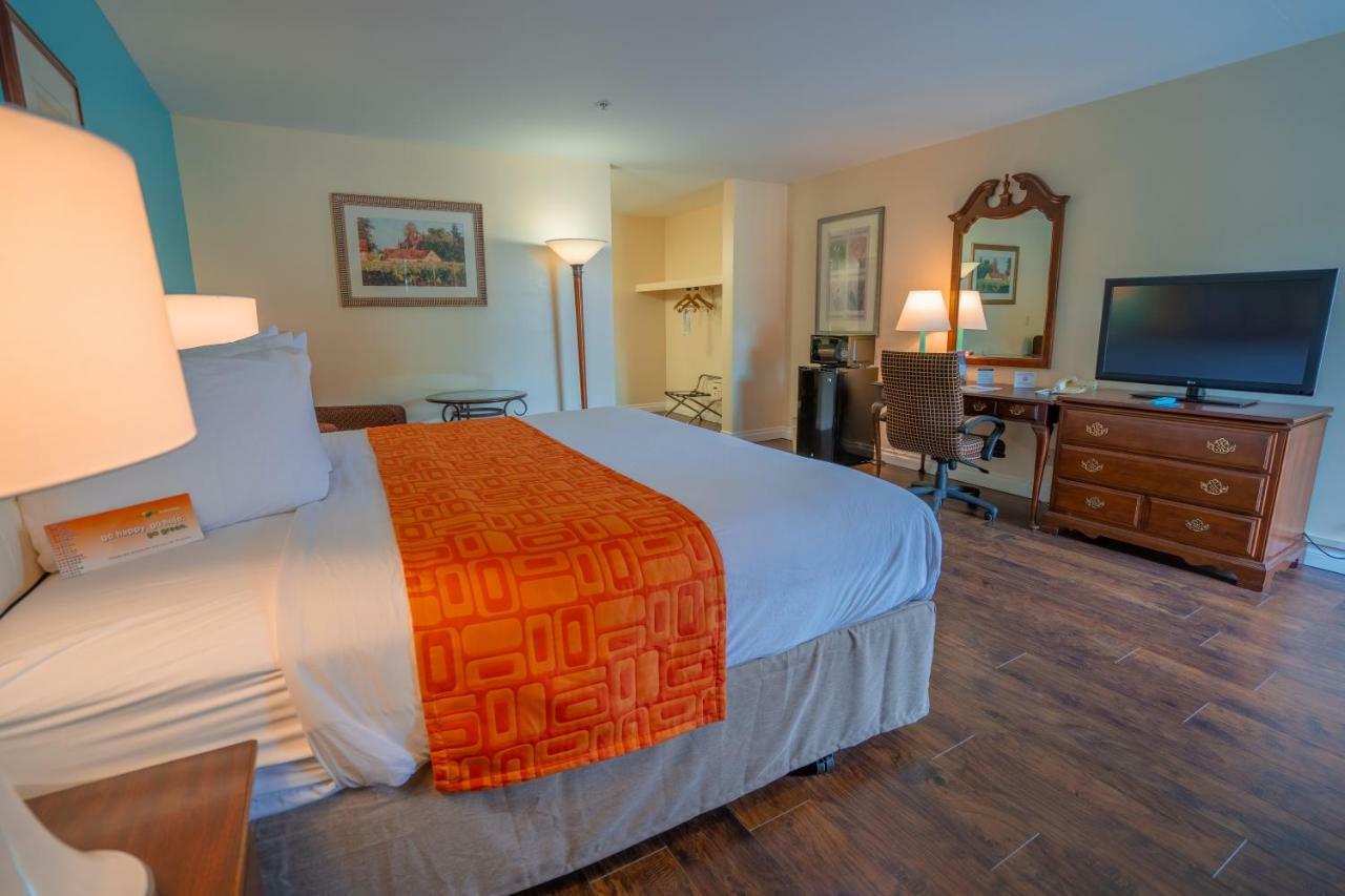 Deluxe King Suite,1177172167:JPEG