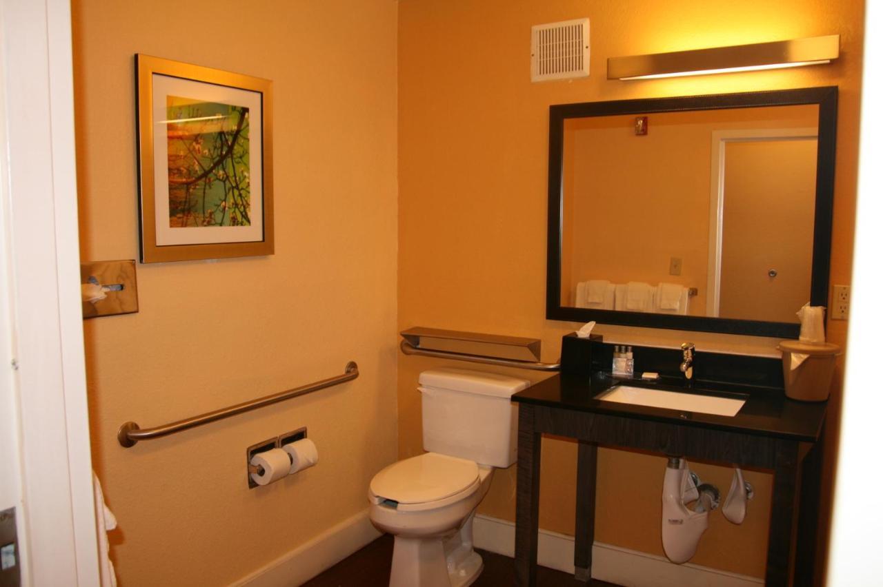 Single Room - Disability Access,973419802:JPEG