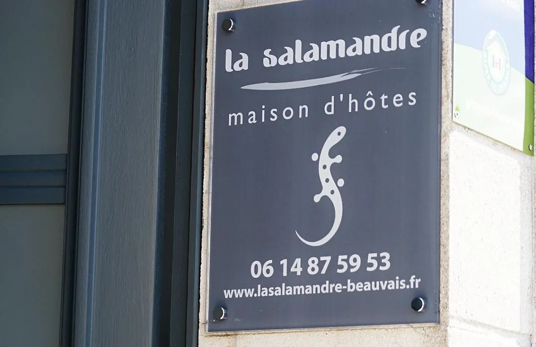 La Salamandre-1
