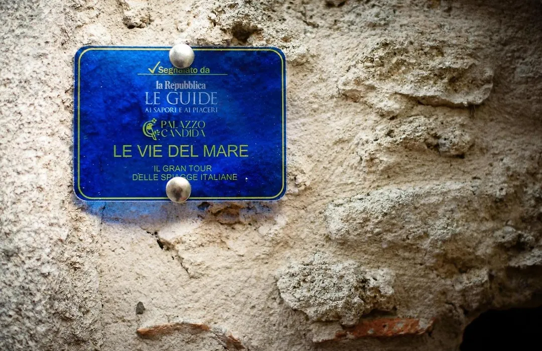 Palazzo Candida B&B-1