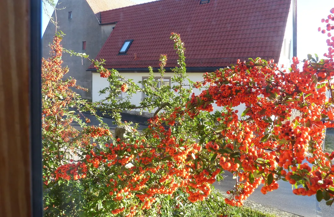 Landhotel Schwarzes Ross-1