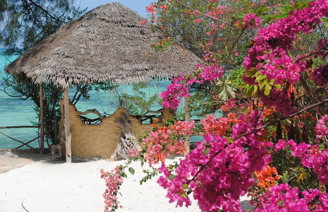 Seasons Lodge Zanzibar-1