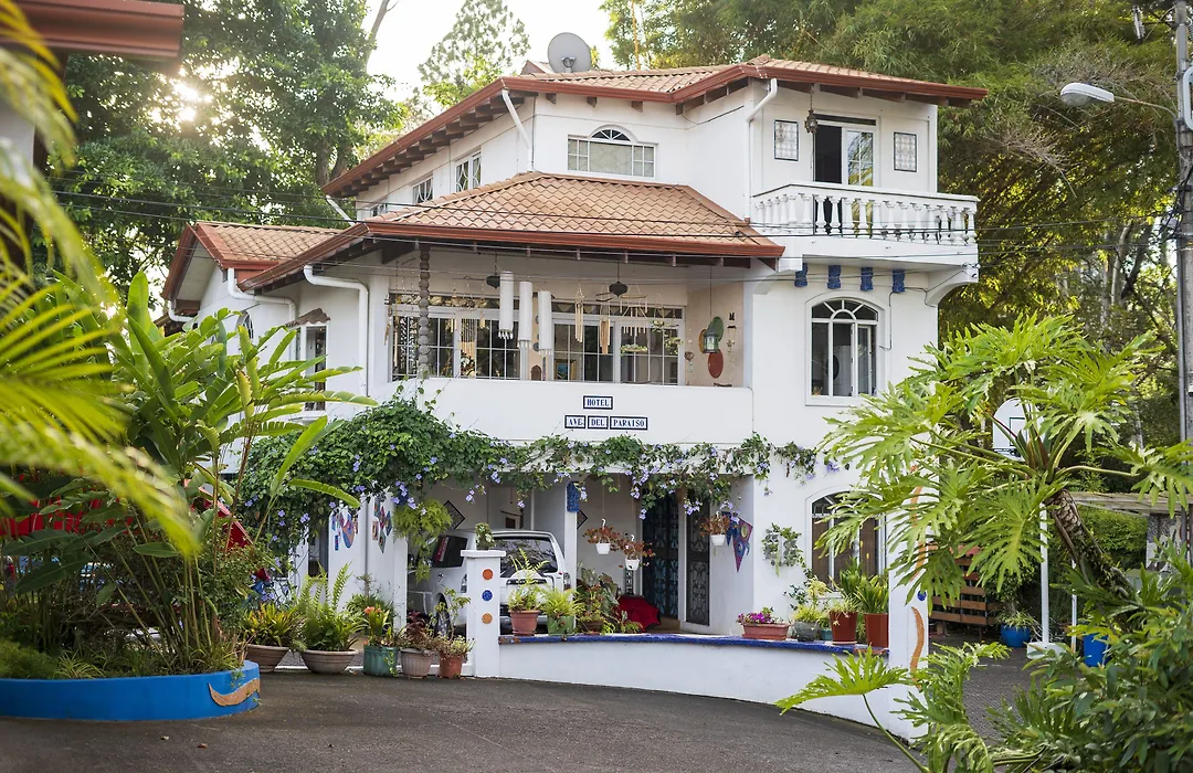 Hotel Ave Del Paraiso-1