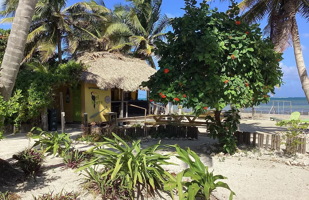 Playa Del Sol-1