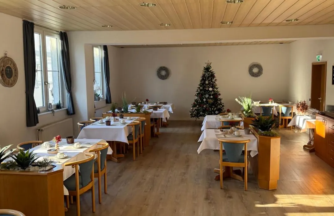 Hotel am Neckar-1