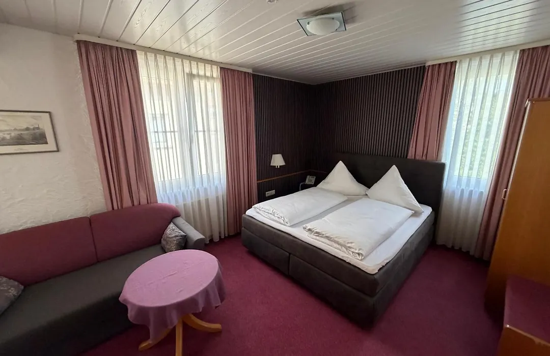 Hotel am Neckar-1