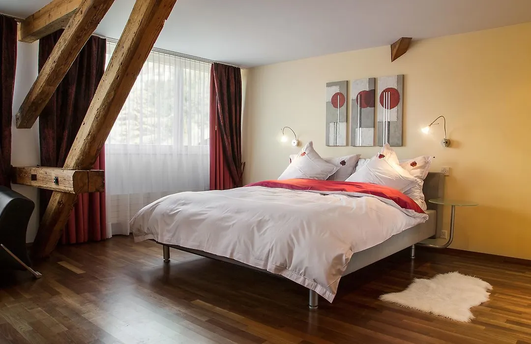 Hotel Metzgern-1