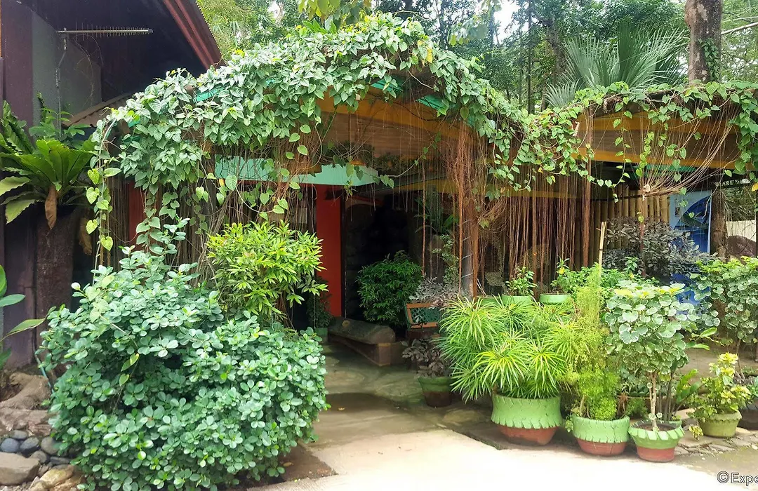 Palawan Village Hotel-1