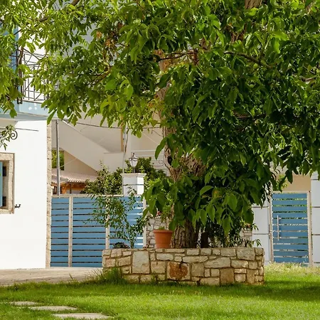 Alex Boutique Hotel-3
