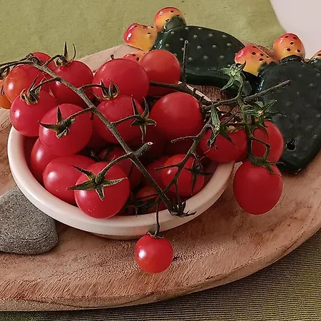 Antico Casale Il Sambuco-2