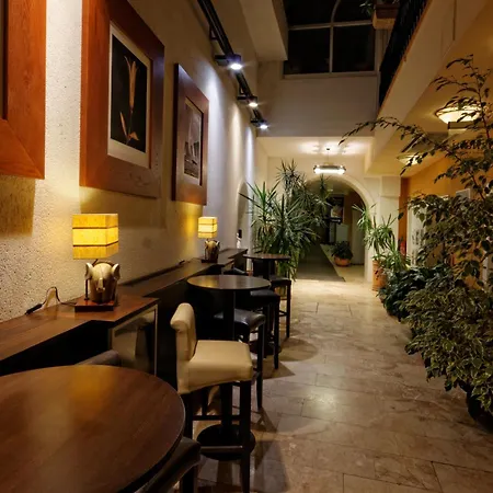 Enjoy Inn-2