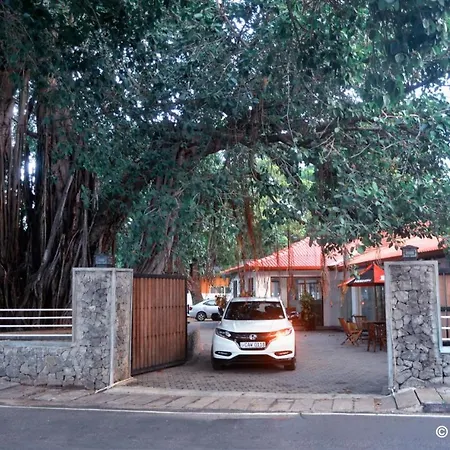 Trinco Rest House-2