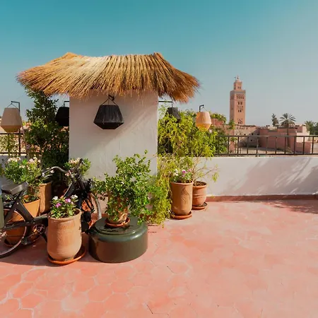 Riad Tawja-2