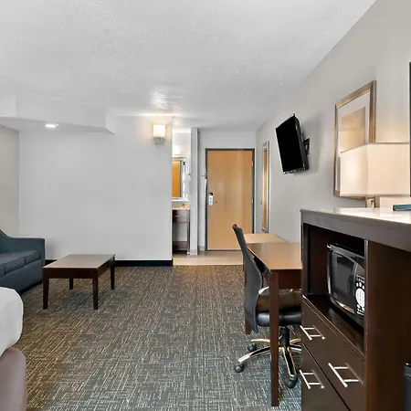 Best Western Plus Flint Airport Inn & Suites-2