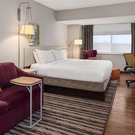 Hilton Garden Inn Minneapolis Airport Mall Of America-3
