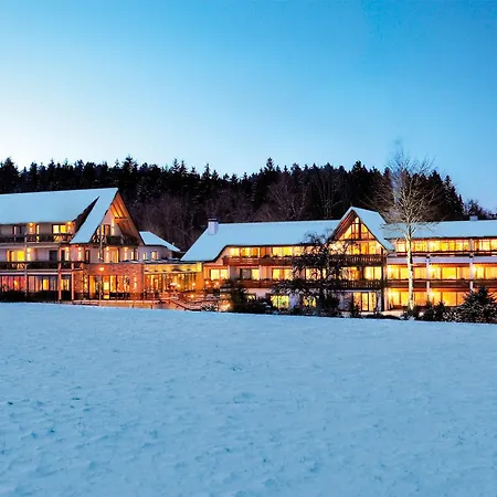 Hotel Gruener Wald-3