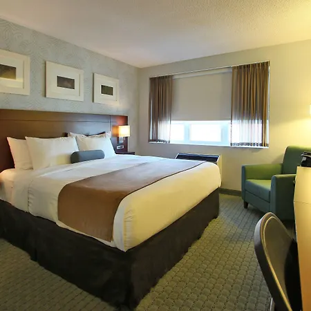 Rodd Moncton-3