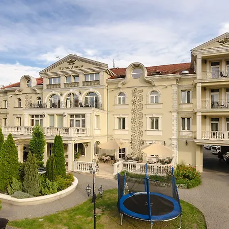 Hotel Aurum-3