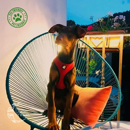 Luna Maya Antigua-2