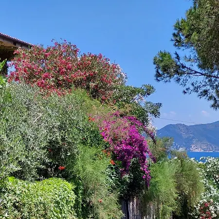 Residence Capobianco-2