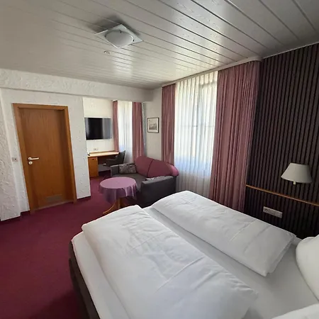 Hotel am Neckar-2