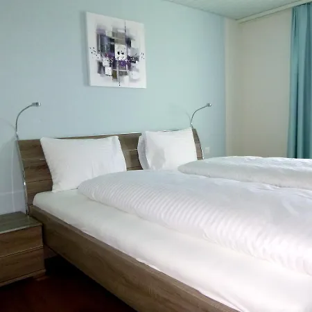 Hotel Metzgern-3
