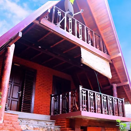 D Family Resort-3