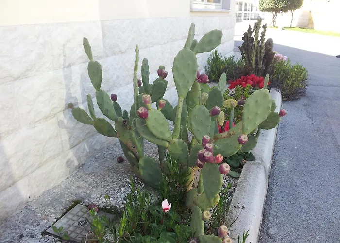 Hotel Giardino