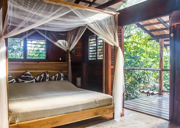 Funky Monkey Lodge