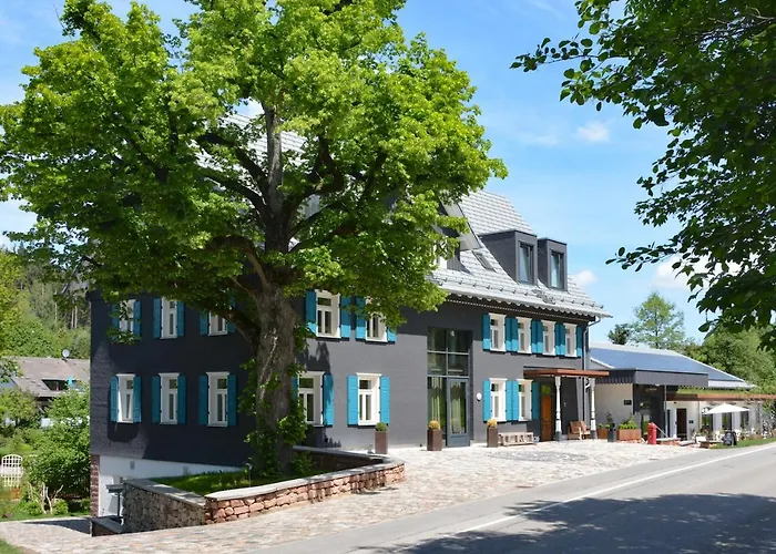 Die Saege
