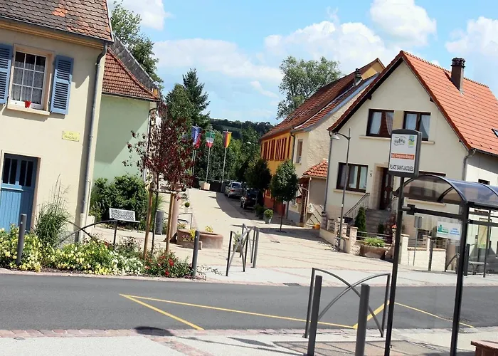 Les Dames De La Montagne