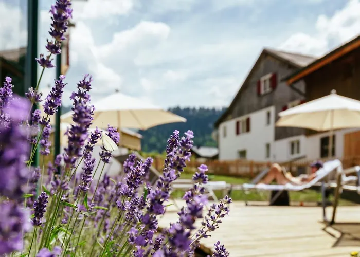 Hirschen Wohlfühlhotel
